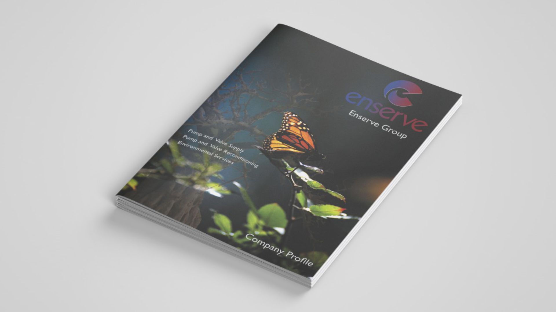 Brochure Design and Printing in lagos nigeria