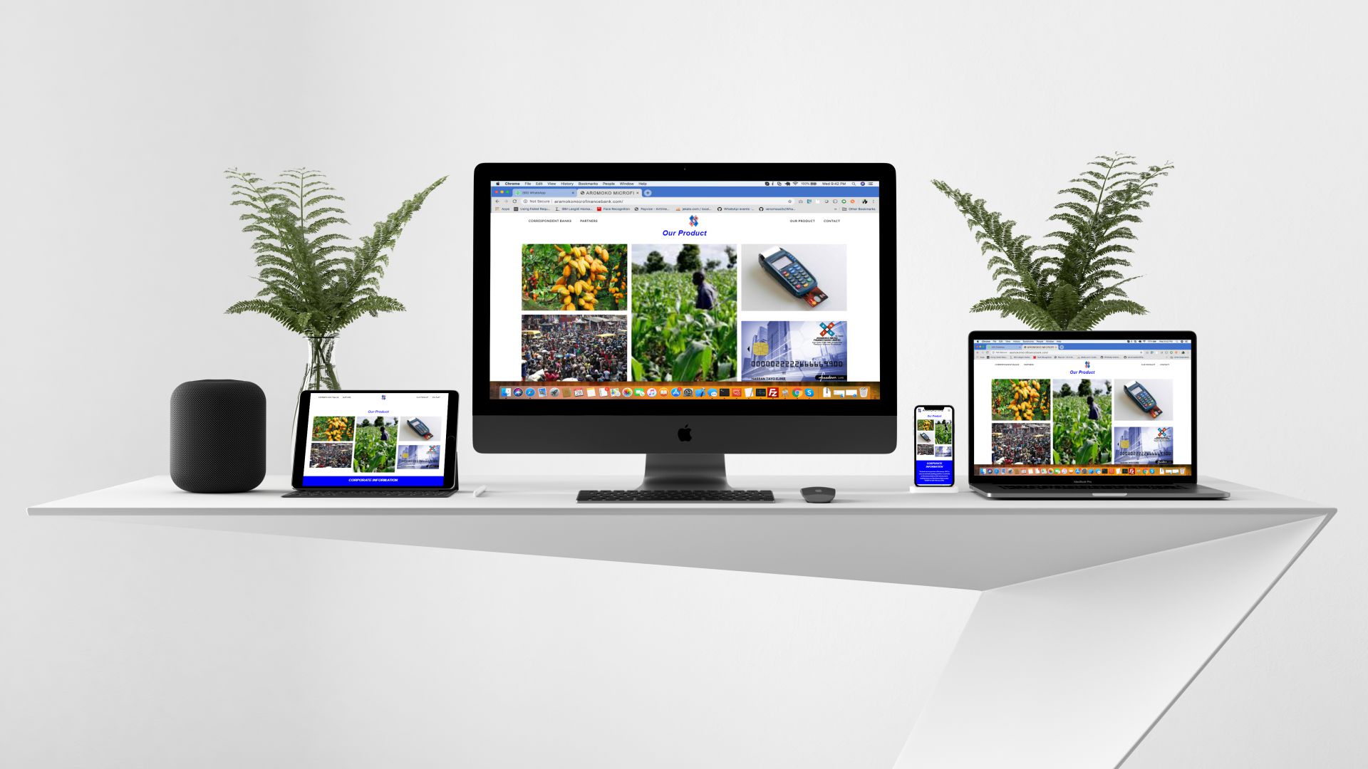 Website Design in Lagos Nigeria